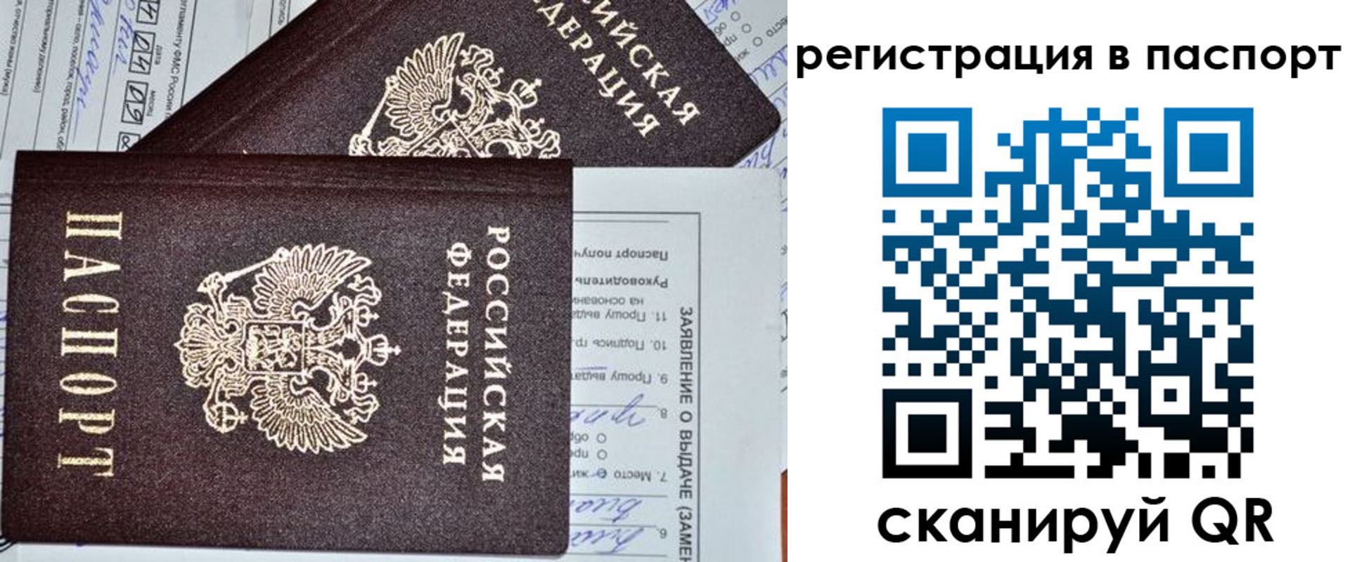 прописка законно в Братске